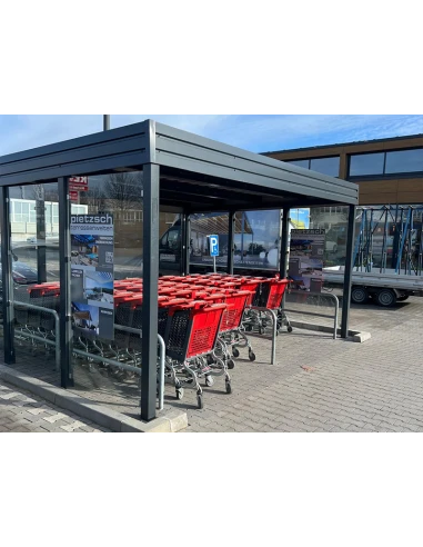 Tettoia per auto Carport in Acciaio 6x6m con pareti 1+0