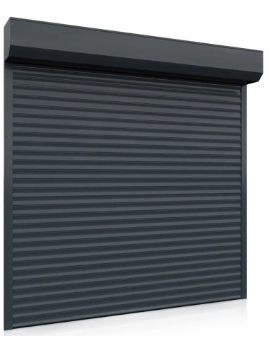 Porta avvolgibile GUARD 77 - 250 x 250 cm