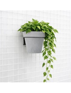 Vaso - Cemento chiaro 2