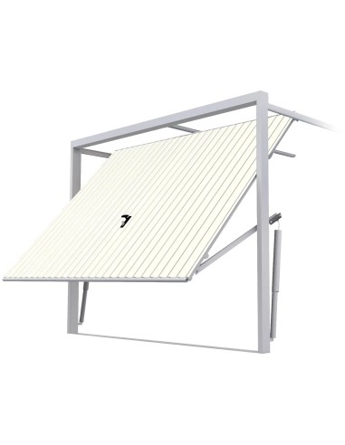 Portone Basculante per Garage in Acciaio – 200 x 200 cm - RAL 9010